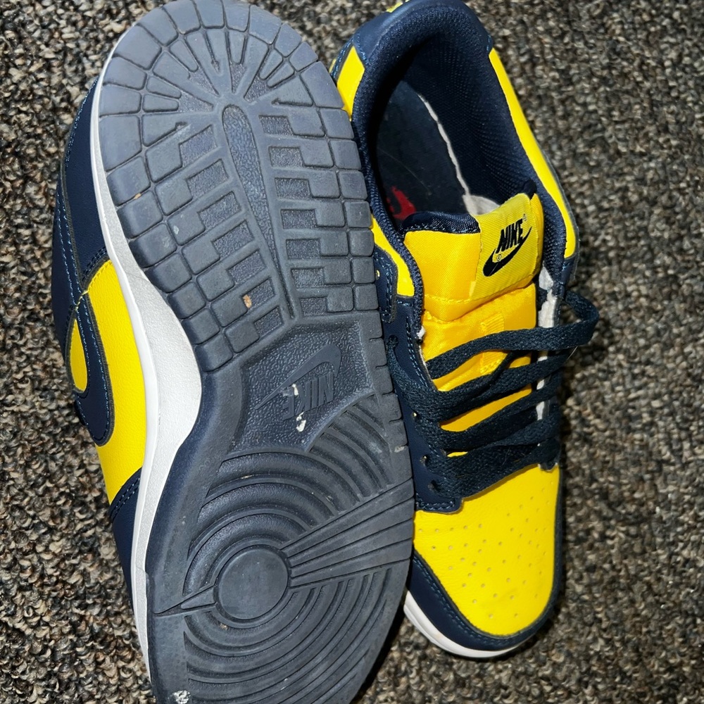 Nike Dunk Low michigan